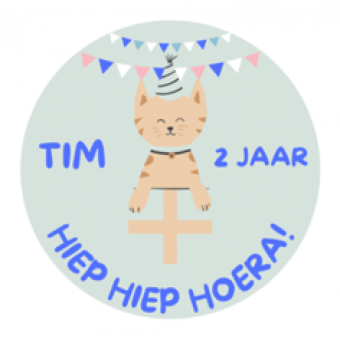 Verjaardag sticker - Poes